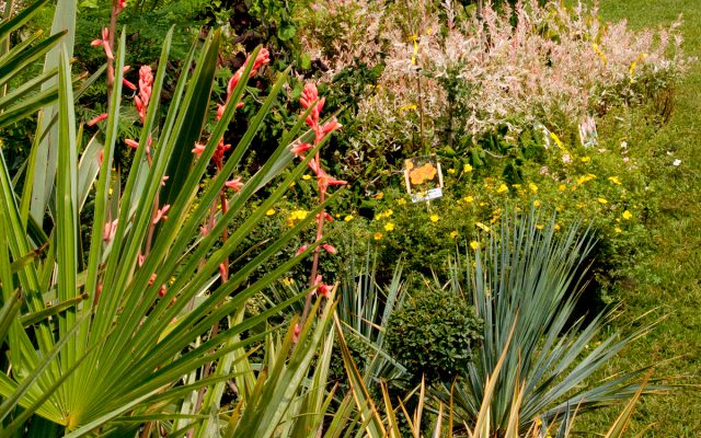 Fête des plantes et des jardins – édition 2023