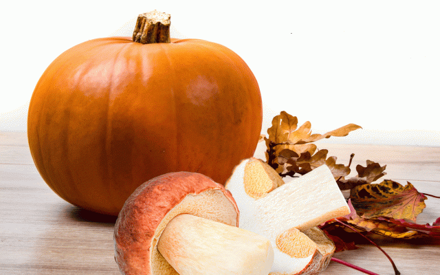 Atelier “Gourmets” | Heigh-ho, Heigh-ho, on rentre du marché