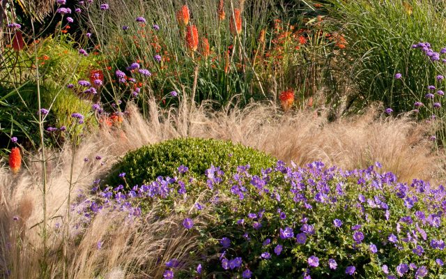 Fête des plantes et des jardins – édition 2024