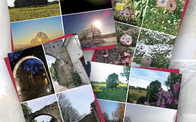 Exposition Concours Photos 2024 | Les 4 saisons de Montfort