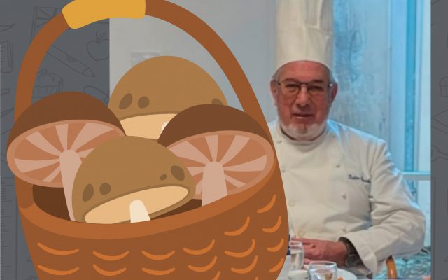 Atelier « Gourmets » | Abordons les couleurs de l’automne