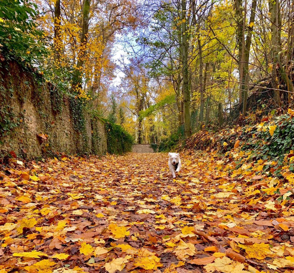 Vignette-concours-photo2026-automne Vignette-concours-photo2026-automne