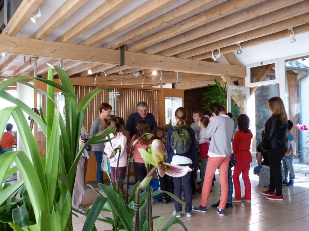 Atelier orchidées in vivo in vitro © ServiceCom_AK (7)