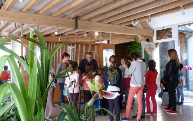 Atelier « Jardiniers » | Découvre les orchidées