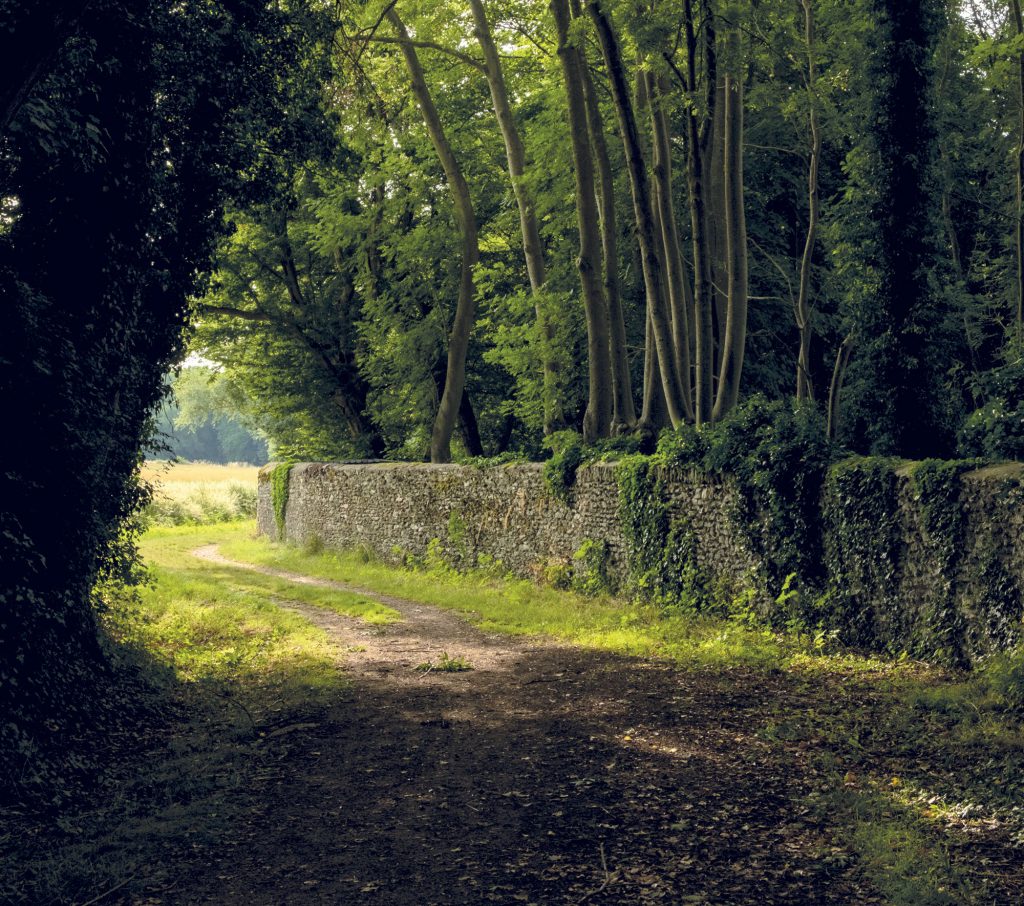 Vignette-Randonnées