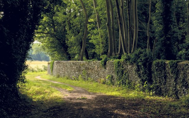 Randonnées à travers les chemins ruraux