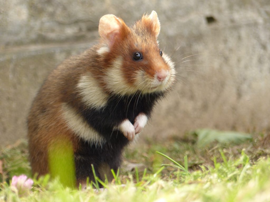 Photo affiche atelier