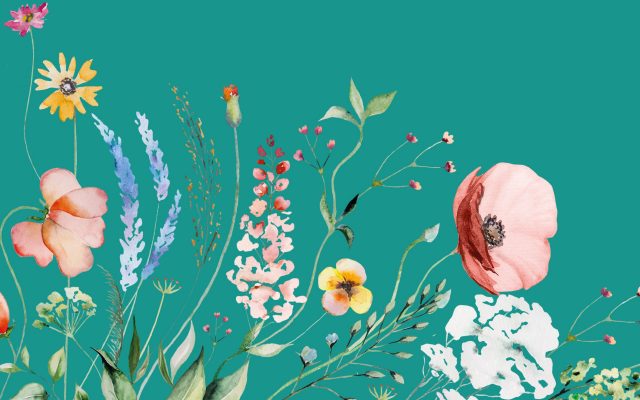 Atelier « Jardiniers » | Découvre le pouvoir des fleurs