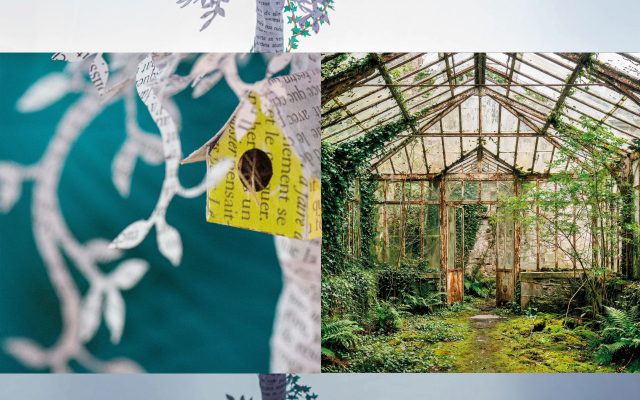 Exposition | Mémoires en mutation