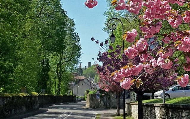 Exposition Concours Photos 2026 | Végétal