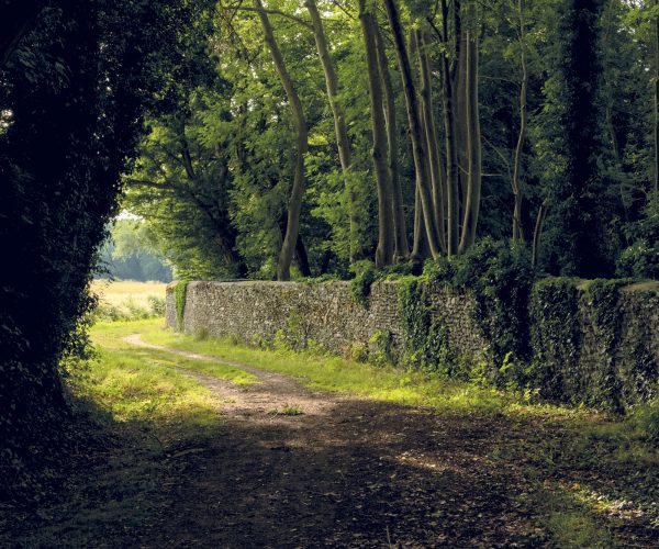 Vignette-Randonnées