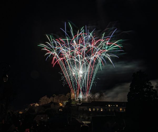 Vignette feu d'artifice